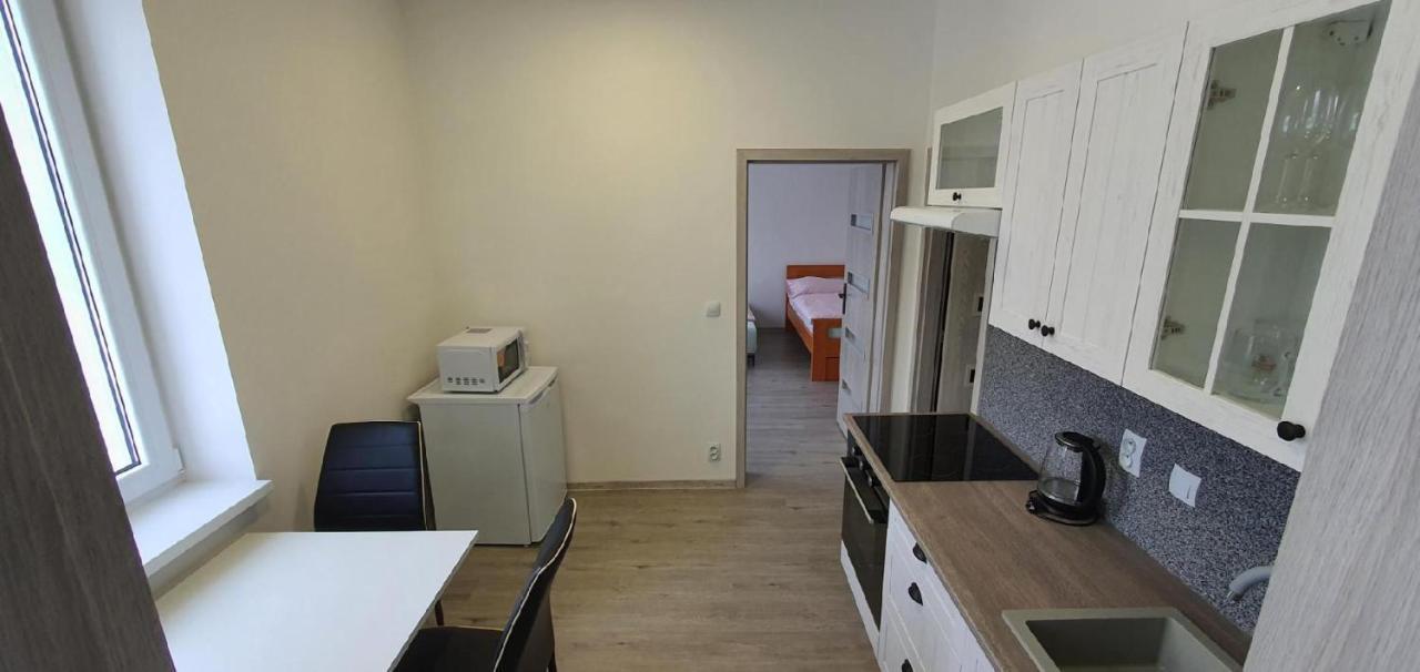 Apartment 35M2 Karlovy Vary Exterior foto